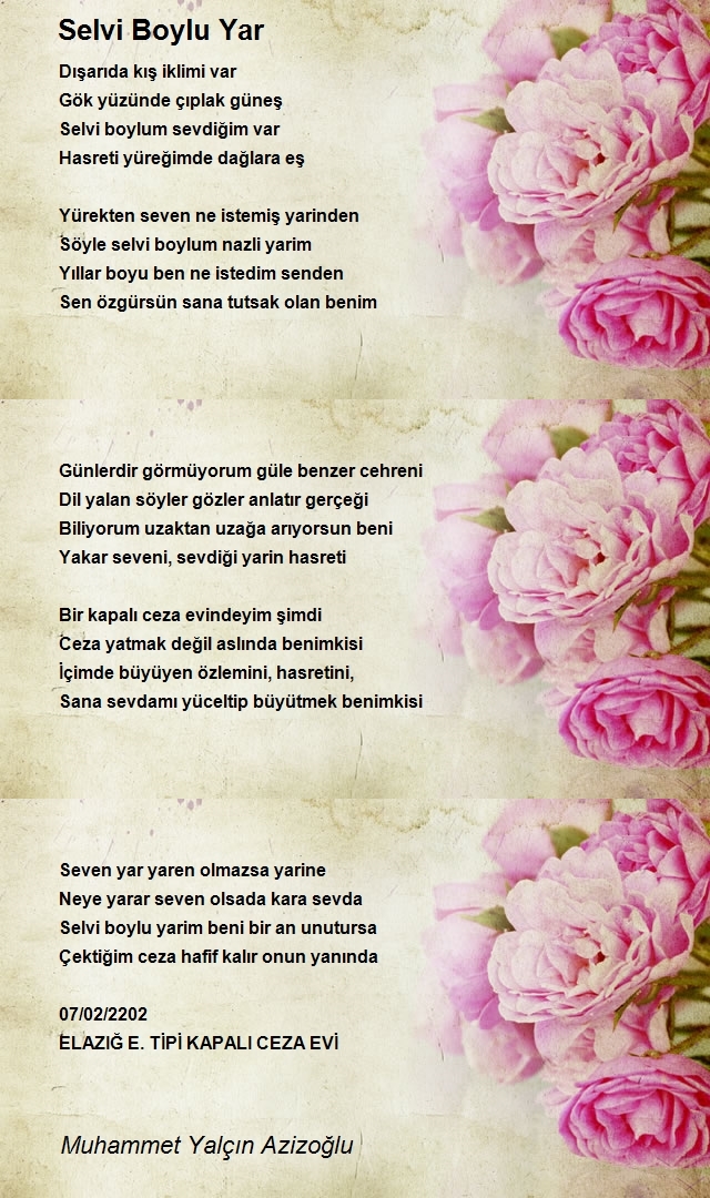 Muhammet Yalçın Azizoğlu