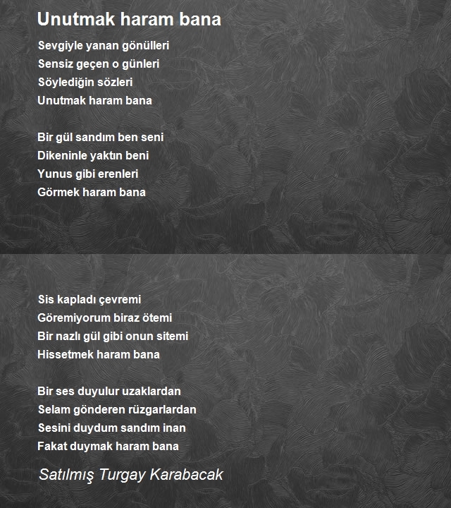Satılmış Turgay Karabacak