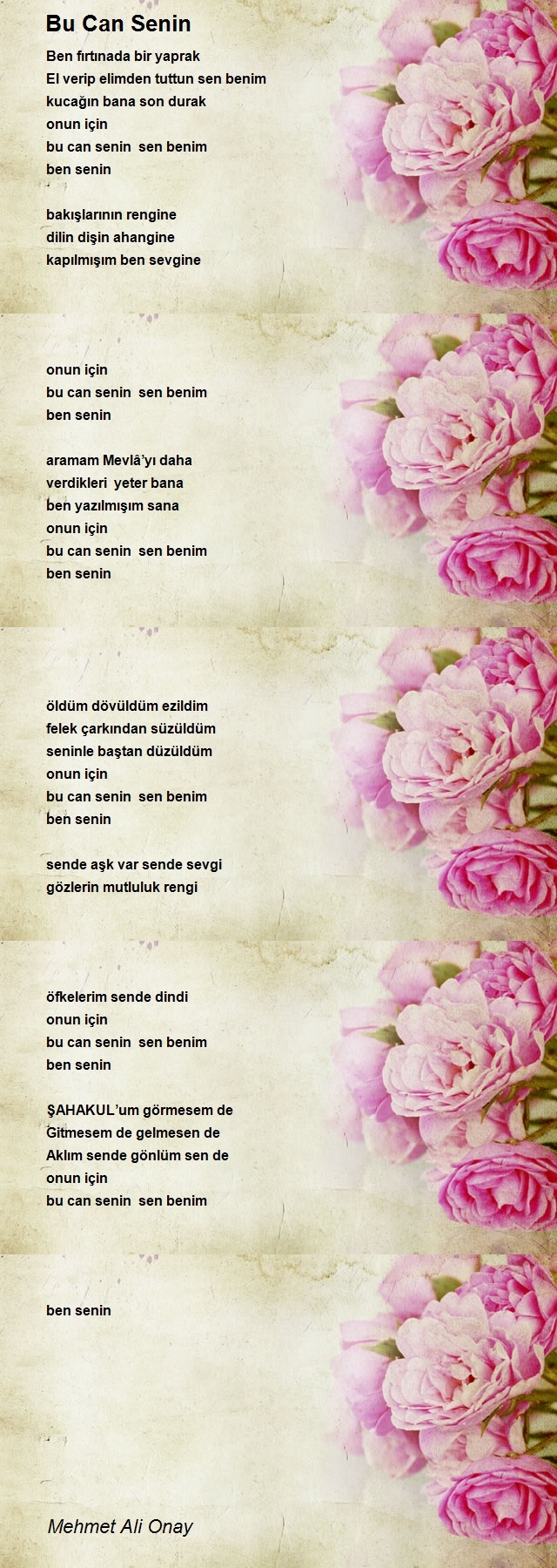 Mehmet Ali Onay