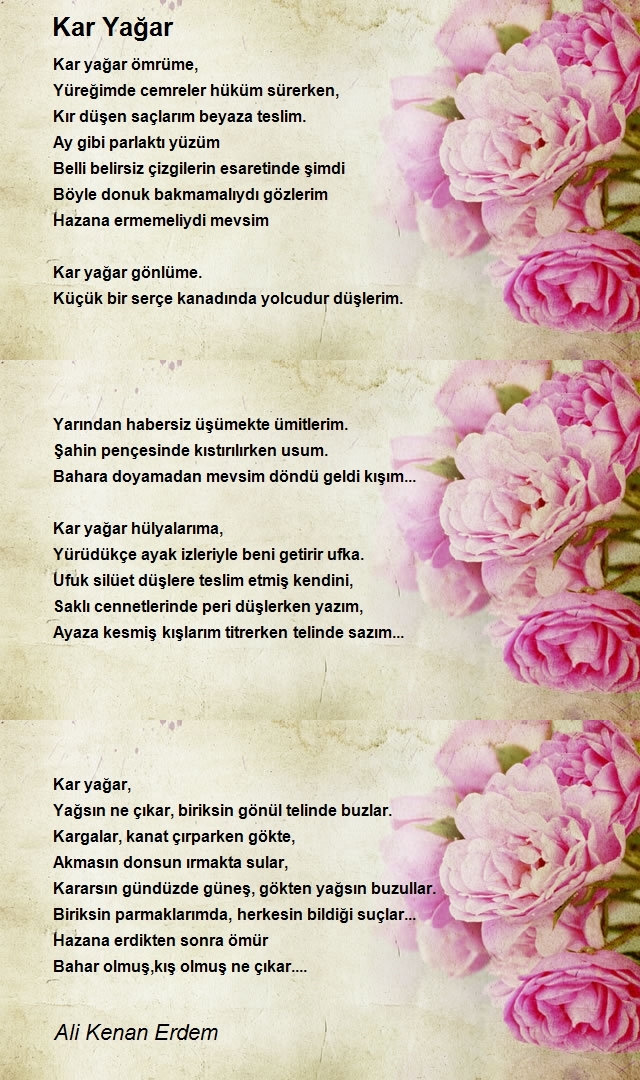 Ali Kenan Erdem
