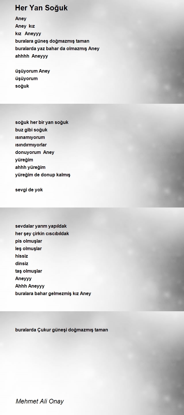 Mehmet Ali Onay