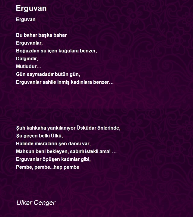 Ulkar Cenger
