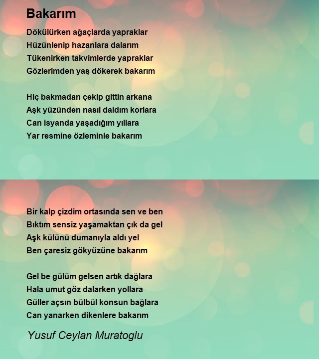 Yusuf Ceylan Muratoglu
