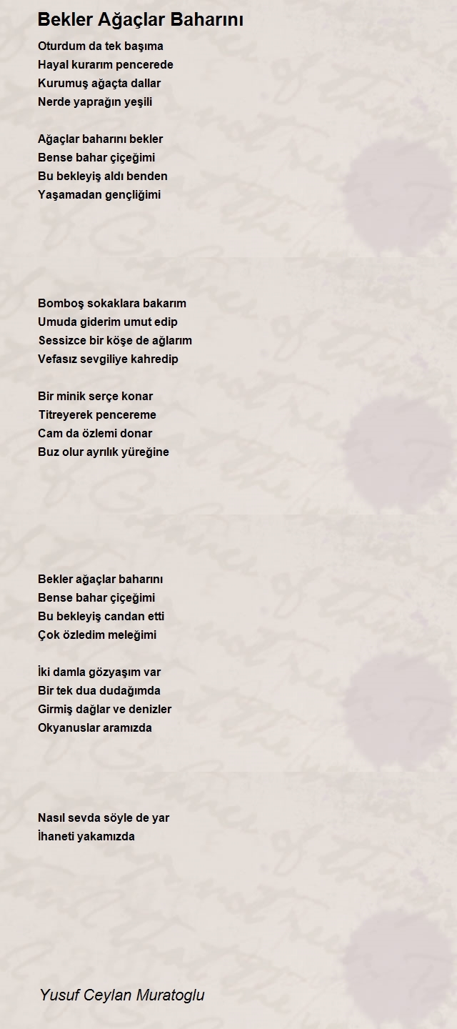 Yusuf Ceylan Muratoglu