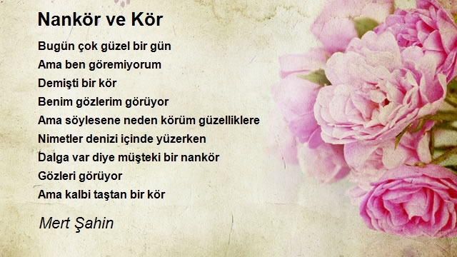 Mert Şahin