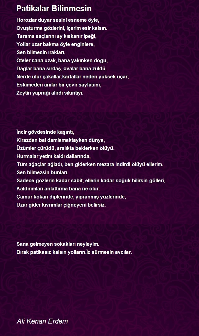 Ali Kenan Erdem