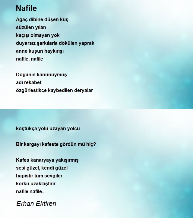 Erhan Ektiren