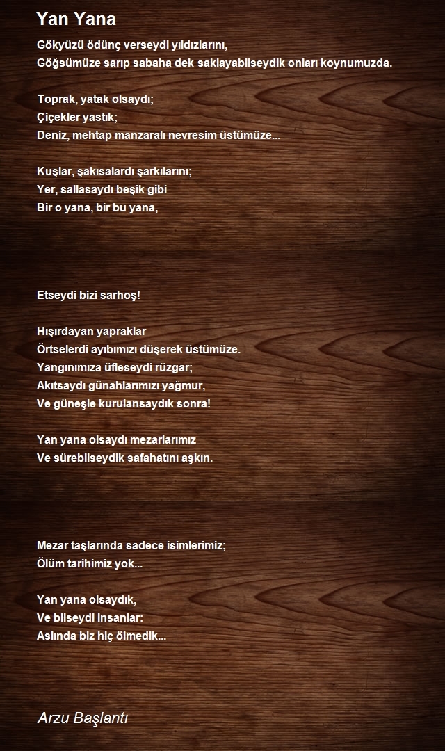 Arzu Başlantı