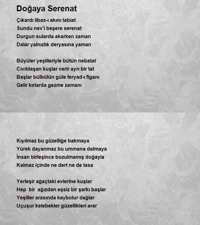 Emirhan Yıldız