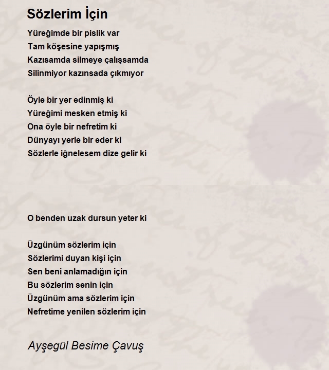 Ayşegül Besime Çavuş