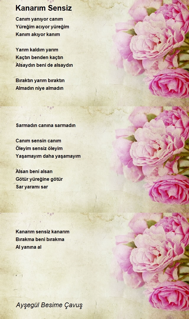 Ayşegül Besime Çavuş