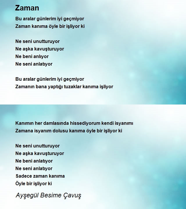Ayşegül Besime Çavuş