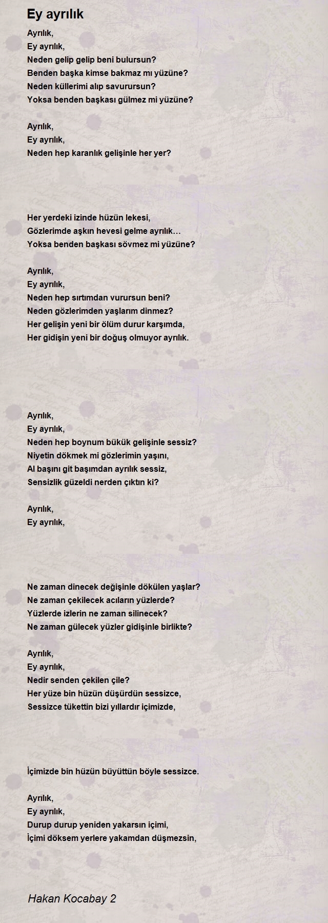 Hakan Kocabay 2