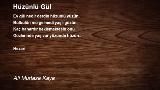 Ali Murtaza Kaya