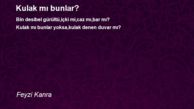 Feyzi Kanra