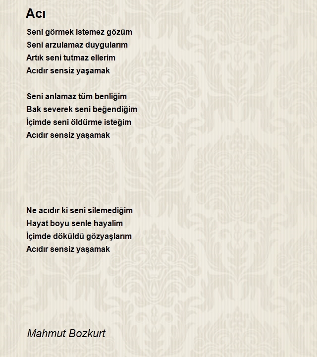 Mahmut Bozkurt