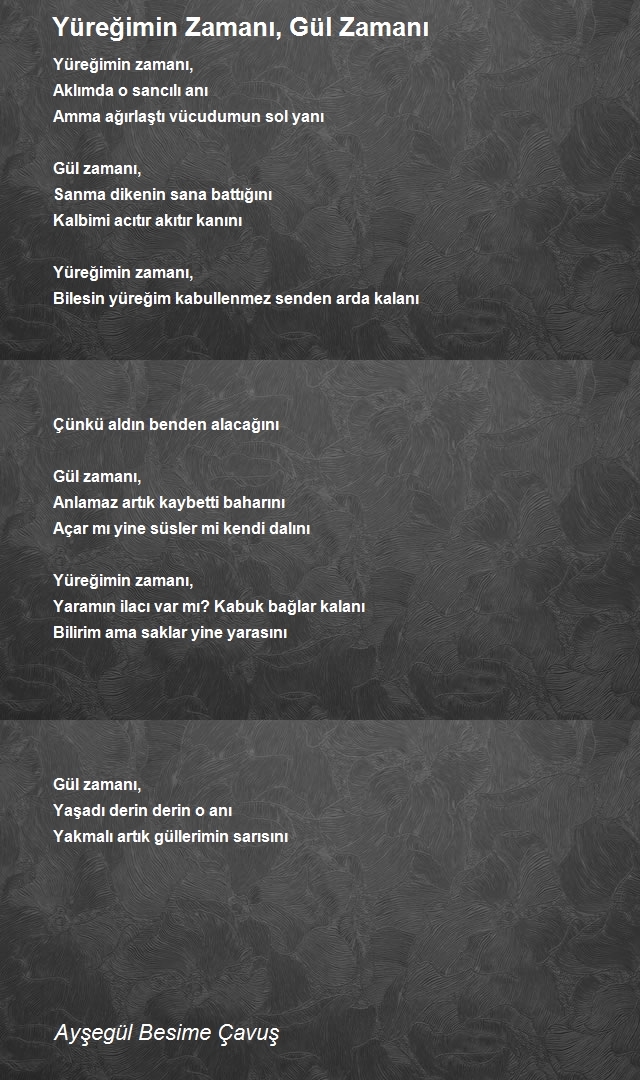 Ayşegül Besime Çavuş