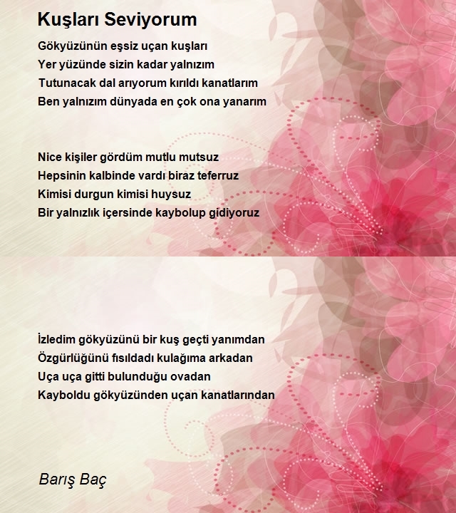 Barış Baç