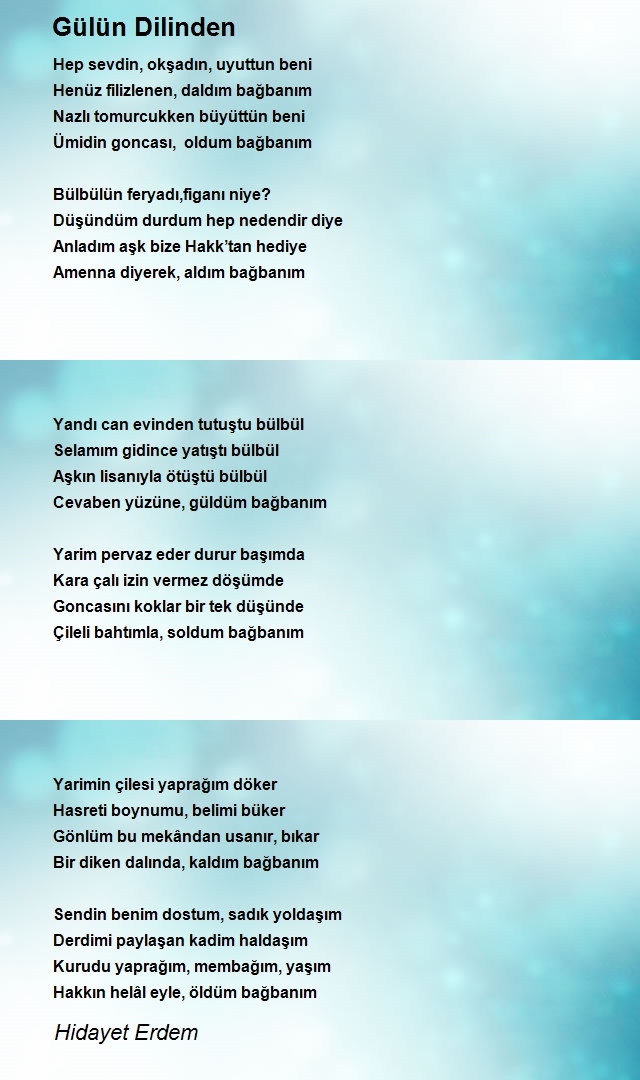 Hidayet Erdem