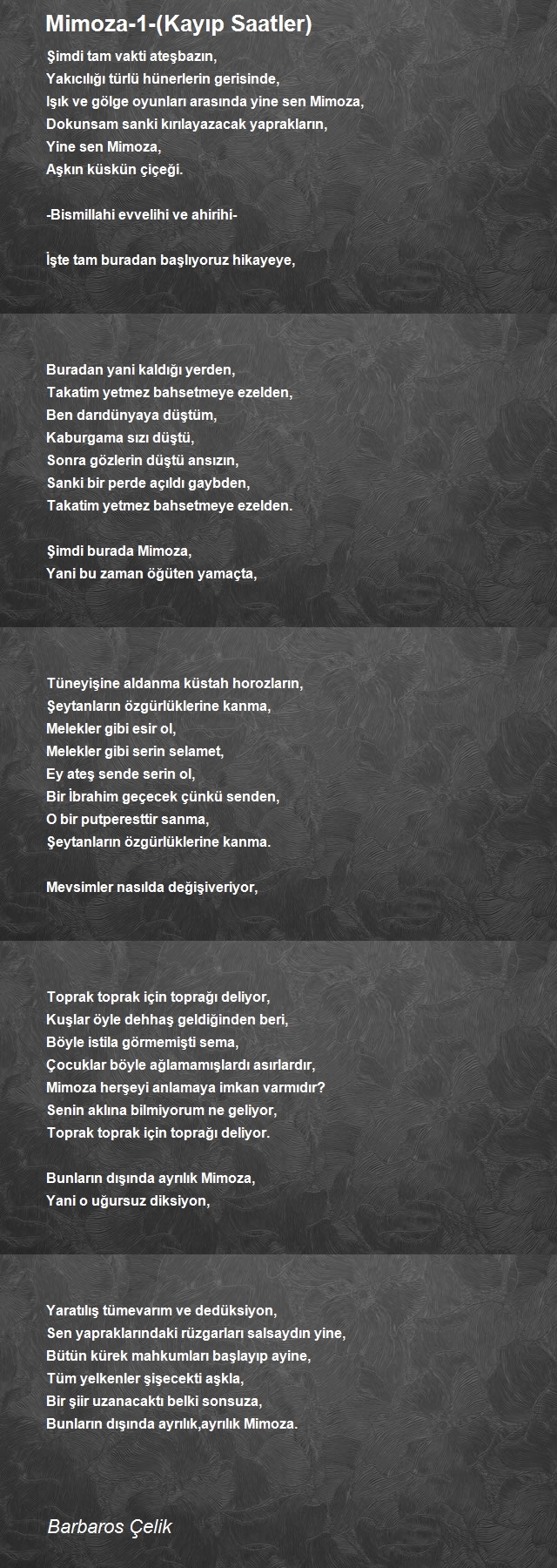 Barbaros Çelik