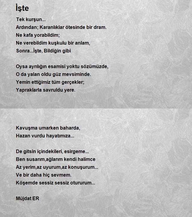 Müjdat Er
