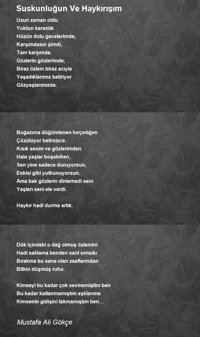 Ali Gök 3