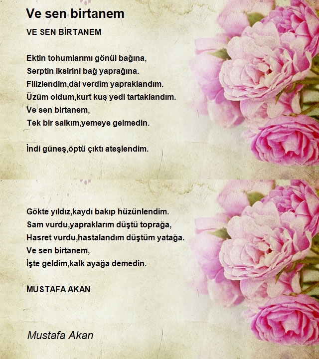 Mustafa Akan