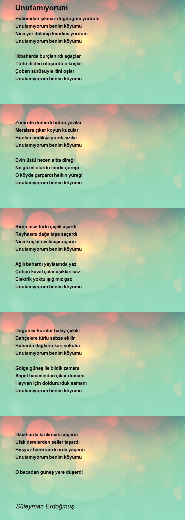 Süleyman Erdoğmuş