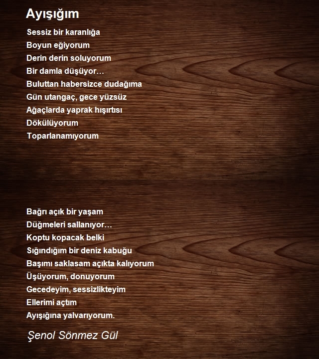 Şenol Sönmez Gül