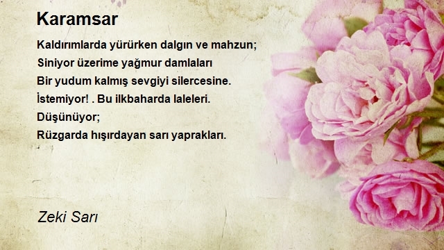 Zeki Sarı
