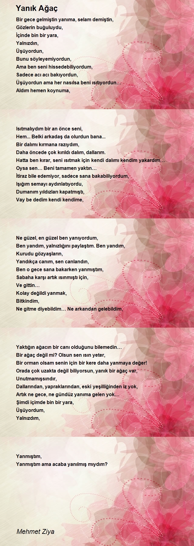 Mehmet Ziya