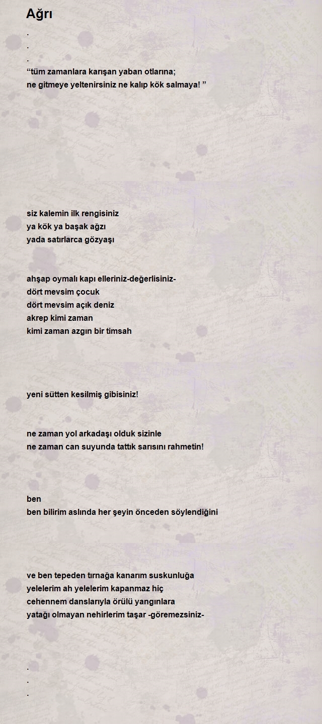 Belgin Erturk
