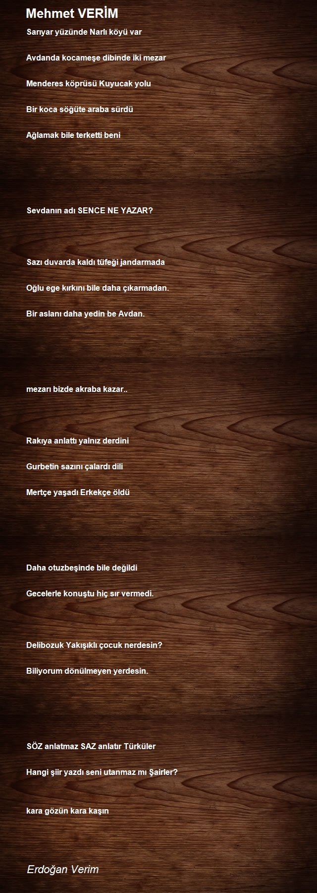 Erdogan Verim