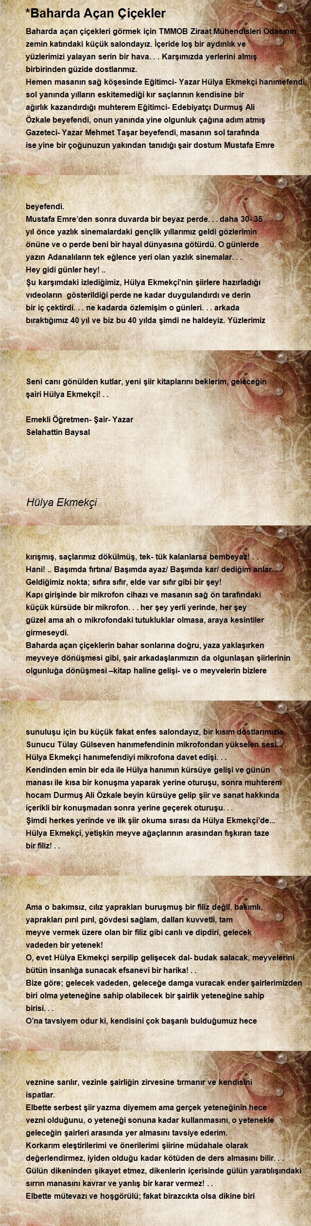 Hülya Ekmekçi