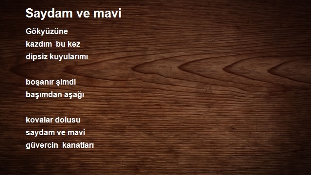 Nizamettin Esen Haymanalı