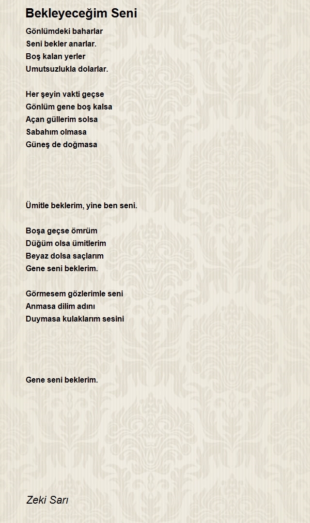 Zeki Sarı