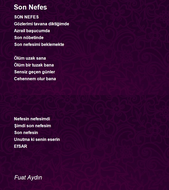 Fuat Aydın