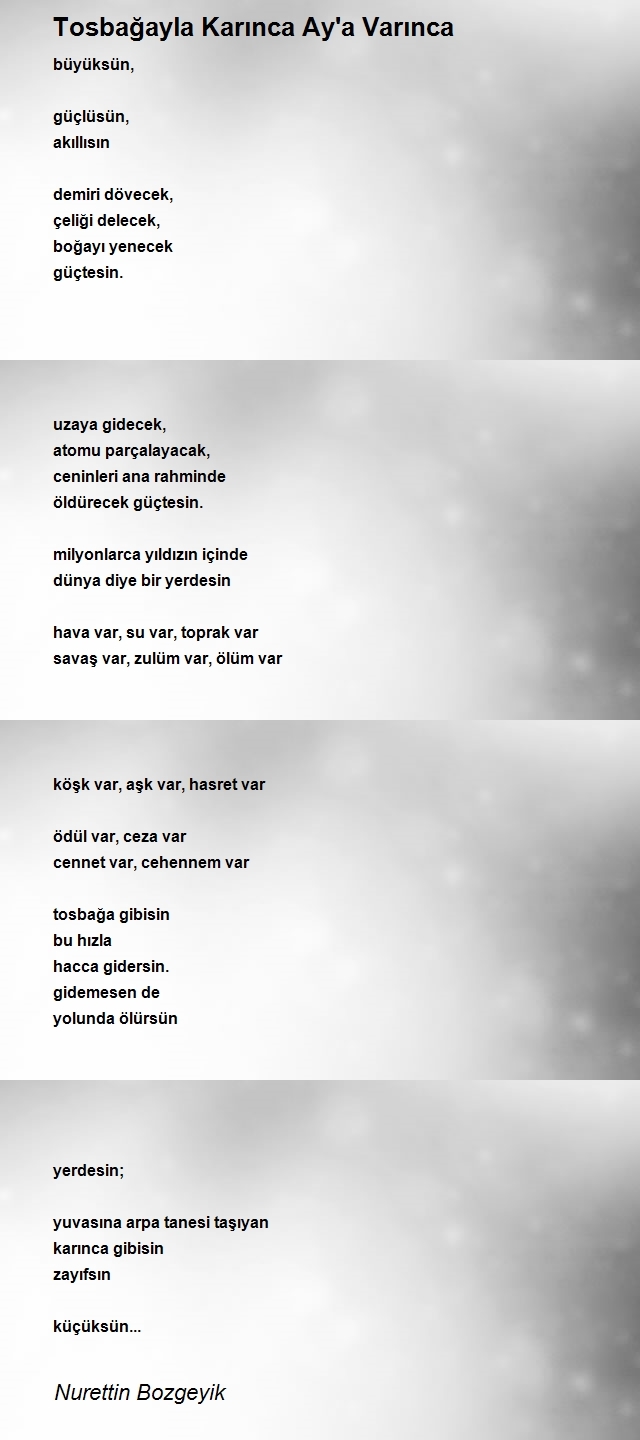 Nurettin Bozgeyik