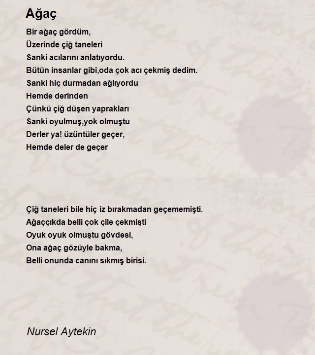 Nursel Aytekin