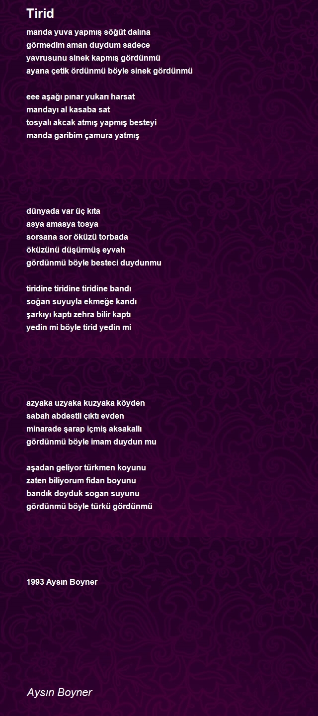 Aysın Boyner