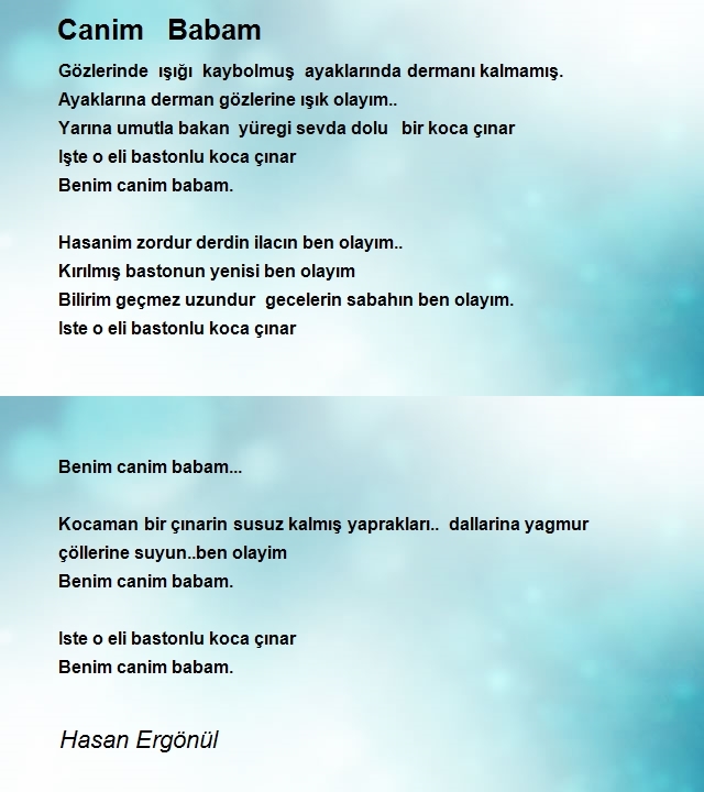 Hasan Ergönül