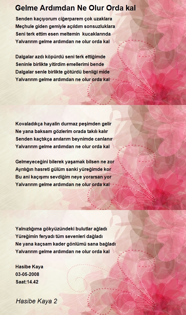Hasibe Kaya 2