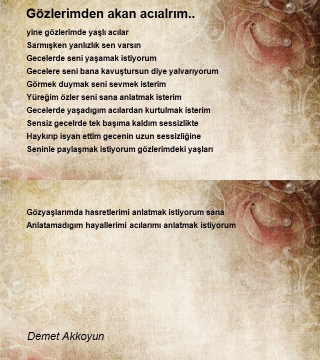 Demet Akkoyun