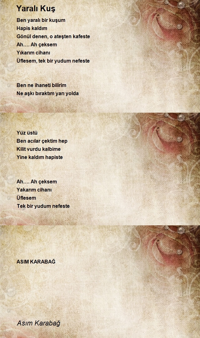 Asım Karabağ