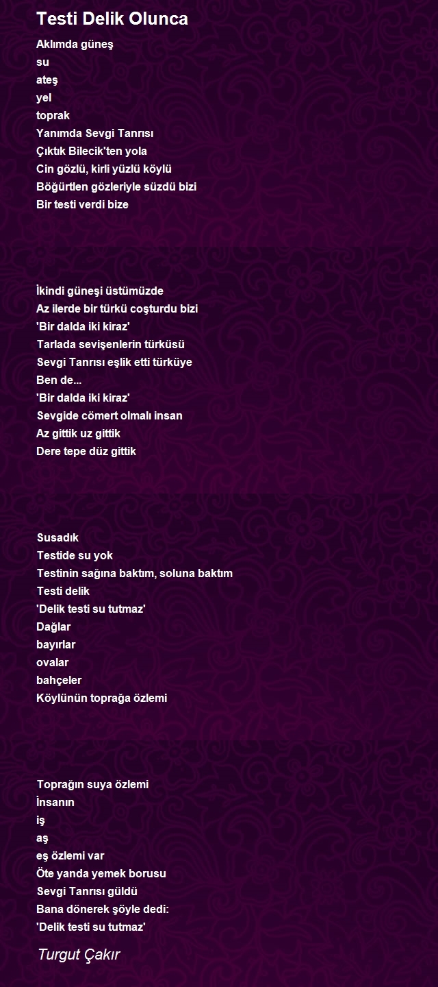 Turgut Çakır