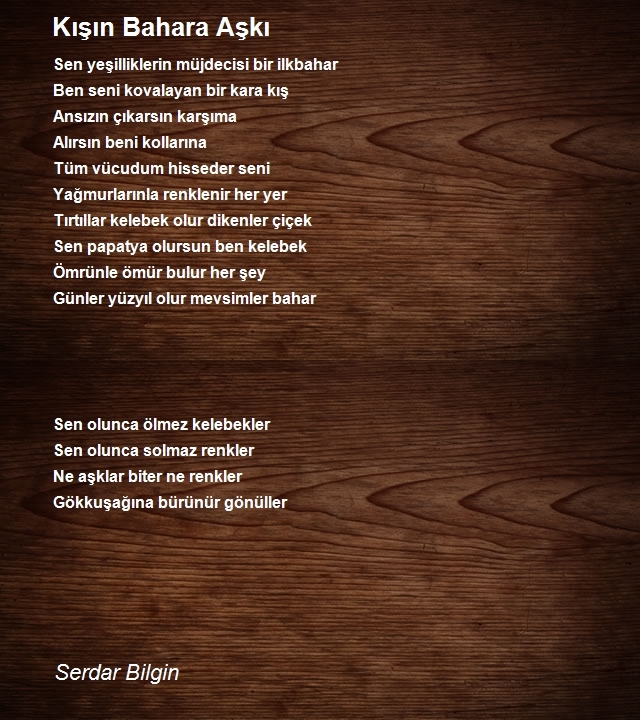 Serdar Bilgin