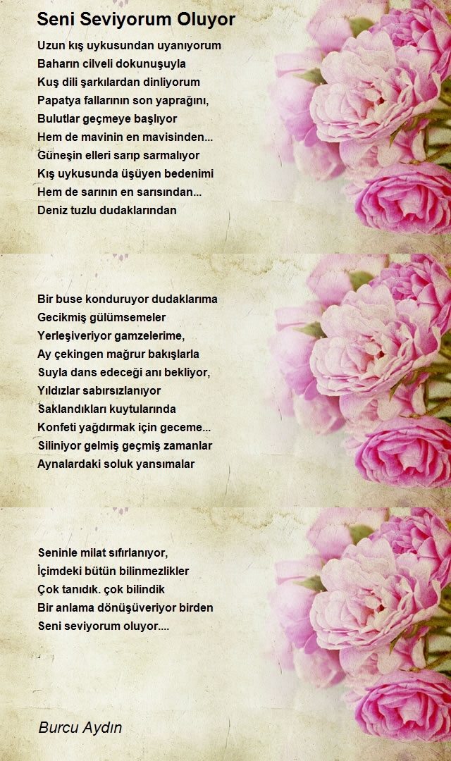 Burcu Aydın