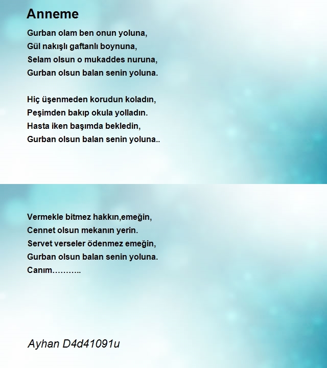 Ayhan D4d41091u