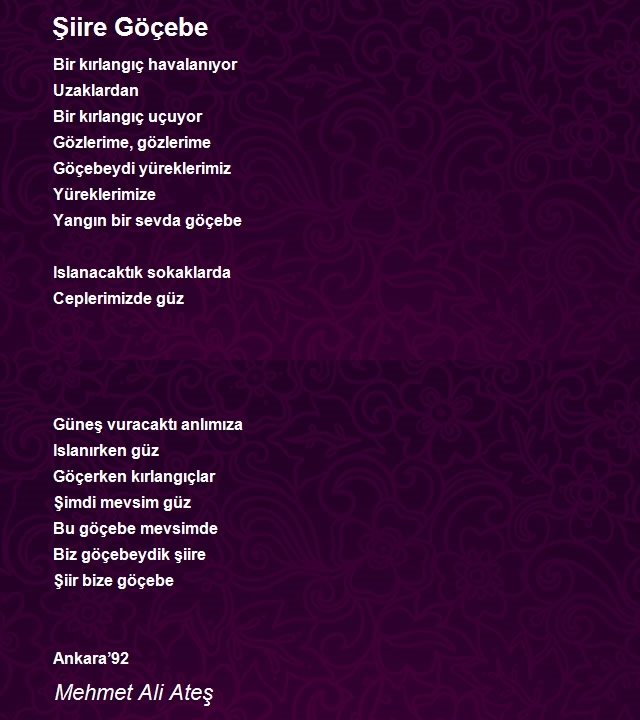 Mehmet Ali Ateş