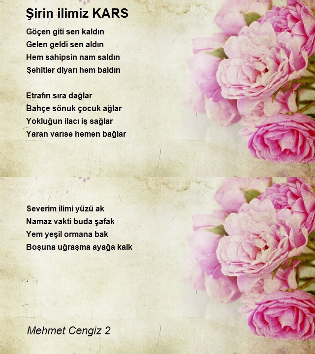 Mehmet Cengiz 2